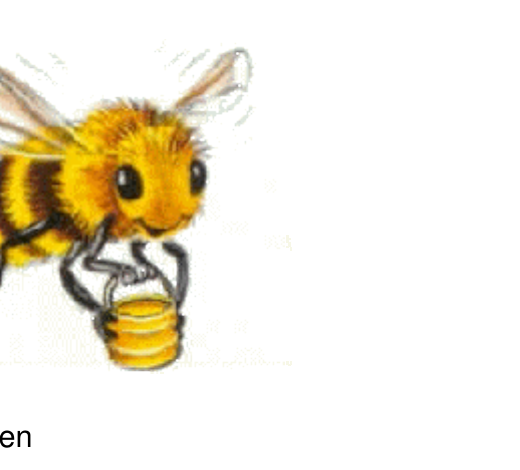 Honigbiene auf einer Blüte